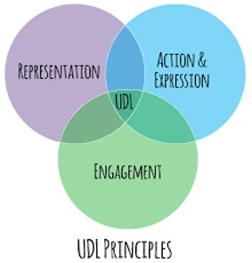 Universal Design for Learning Principles